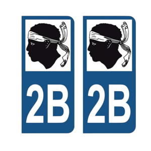 Paire d'autocollants moto 2B