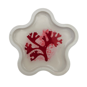 2026/03/1000144097.png Pièce unique. Vide poche motif corail. Création artisanale corse.