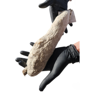 2026/05/1000110099.png ♡ Saucisson fermier corse, fumé au bois de châtaignier. Environ 450gr.