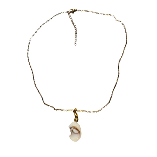 Pièce unique. Collier fait main. Véritable œil de Sainte-Lucie et coquillage.
Création artisanale corse.