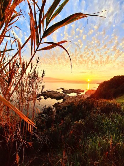 Appartement Sanguinaires (11)