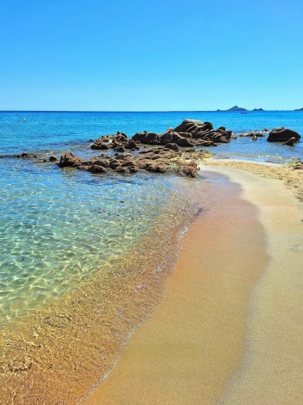 Appartement Sanguinaires (3)