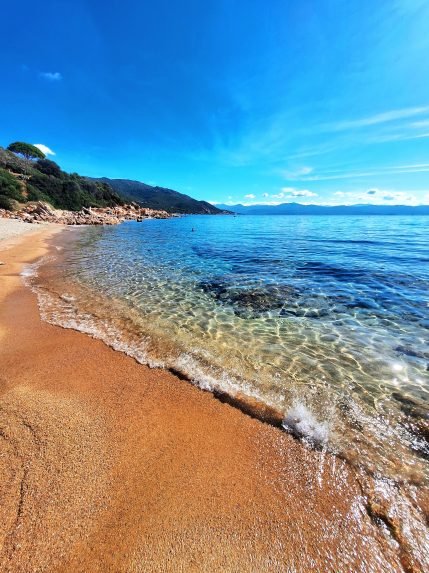 Appartement Sanguinaires (5)