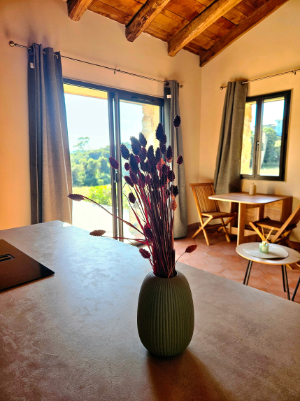 Design sans titre_20260626_144854_0000
