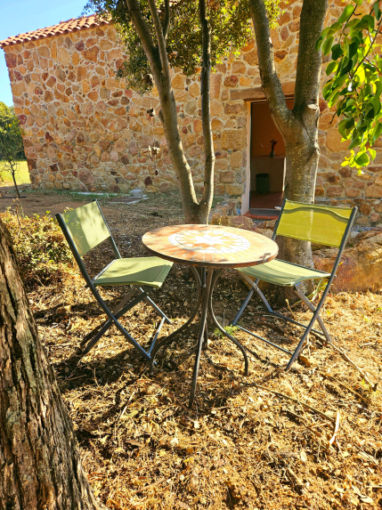 Design sans titre_20260626_145213_0000