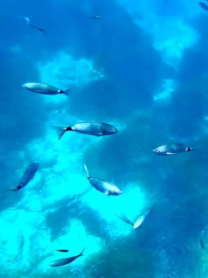 Excursion sous marin 2