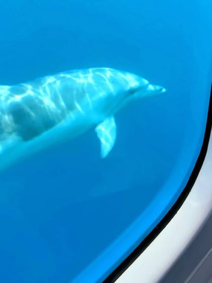 Excursion sous marin 3