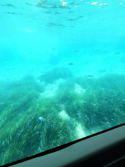 Excursion sous marin 6