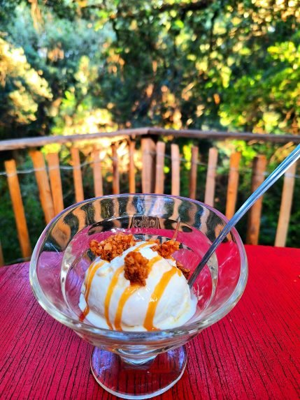 Le jardin des abeilles 7